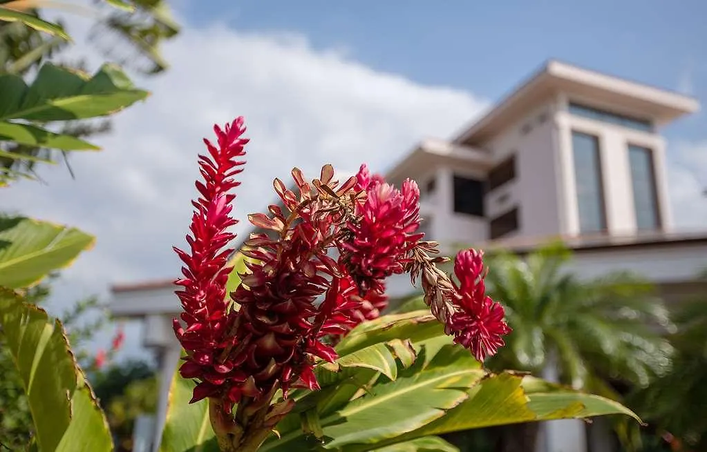 Maui Coast Hotel Kīhei