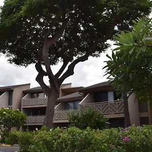 116 Kihei